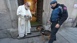 Las fiestas de San Antón culminan con la bendición de los animales