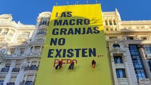 Greenpeace exige el cierre de las macrogranjas con una lona en Gran Vía