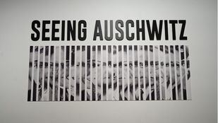 ' Seeing Auschwitz ', la exposición que lucha contra el olvido del Holocausto