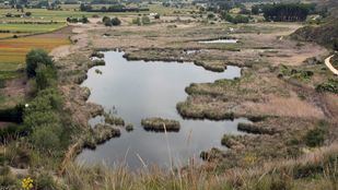 Madrid busca nuevos humedales entre 571 candidatos