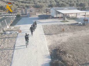 Desarticulada una banda de butroneros autora de 20 robos en comercios