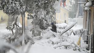 Madrid presenta un recurso por la “concesión parcial” de las ayudas por Filomena