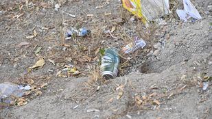 Ratas en Leganés