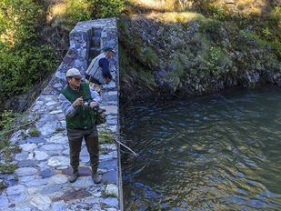 Arranca la temporada de pesca de trucha
