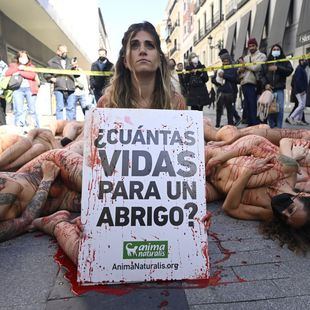 Animalistas protestan contra la industria peletera