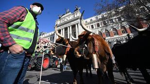 Los productores de leche, en huelga por los paros en el transporte