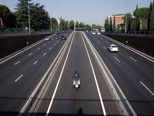 El rescate de Oli, una perra galga que se coló en el Bus-VAO de la A-6