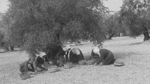 'Mujer rural. Dos miradas', testimonio del papel de las trabajadoras del campo español