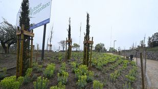 El Bosque Metropolitano suma retos: una pista de atletismo en pleno anillo verde de Villaverde