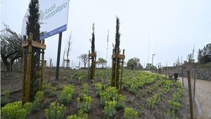 El Bosque Metropolitano suma retos: una pista de atletismo en pleno anillo verde de Villaverde