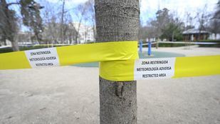 El Retiro y ocho parques, balizados por el fuerte viento