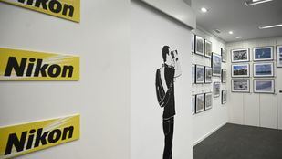 Naturaleza salvaje y su conservación: dos fotógrafos exponen en Nikon House