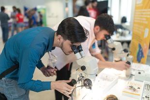 La Fundación madri+d mejora los programas de innovación para PYMES y startups