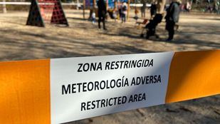 Balizadas zonas del Retiro y ocho parques por climatología adversa