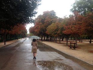 Los parques de la capital cierran esta tarde por la previsión de fuerte viento