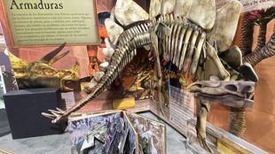 Una exposición muestra la evolución de los libros mecánicos, pop up y desplegables