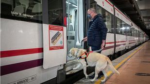 Los usuarios de perros guía reclaman sus derechos