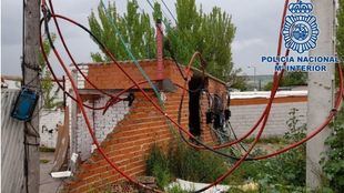 Desmantelada en la Cañada otra plantación de marihuana mantenida con un enganche ilegal al alumbrado