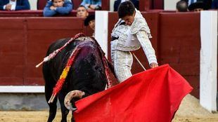 San Isidro: clase al natural de Téllez y firmeza y valentía de Joselito Adame