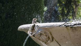 La Aemet activa este jueves la primera alerta del año por calor en el Sur, Vegas y Oeste de Madrid