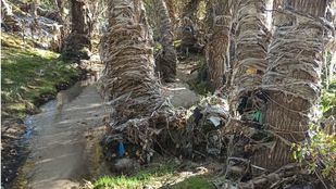 El Ayuntamiento reformará la Depuradora de Rejas para reducir los vertidos al Jarama