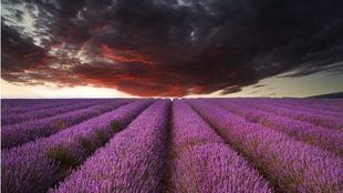 El Tren del Canal de Castilla vuelve con propuestas para disfrutar del turismo en tren y barco