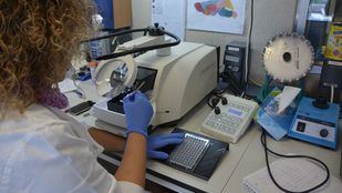 Ascienden a 30 los casos confirmados de viruela del mono en la región