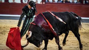 La moruchada de Valdefresno y el aire impidieron el lucimiento de la terna