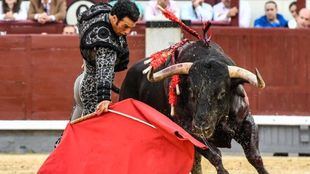 Triunfar con ‘samulos’ , misión imposible