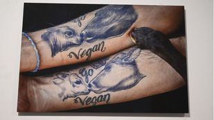 La labor de los santuarios de animales, en el Círculo de Bellas Artes