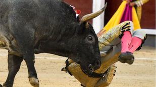 Gómez del Pilar, oreja a sangre y fuego y cogida grave