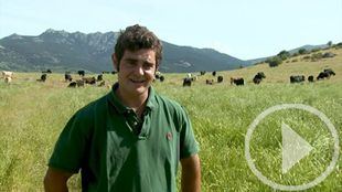 El sector de la carne de vacuno, comprometido con la sostenibilidad