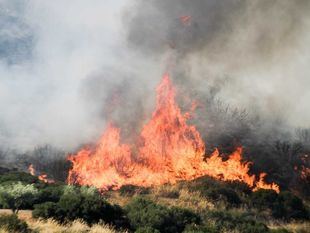Riesgo extremo de incendios debido a la ola de calor