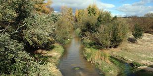 Arco Verde unirá el parque de Guadarrama y los tres regionales