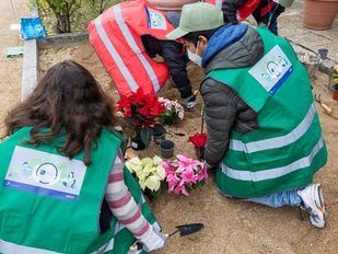 Sacyr Social incorporará a su plantilla a 30 personas con discapacidad
