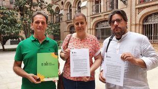 Más Madrid denuncia posibles irregularidades en 4 contratos de emergencia tras Filomena