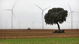 Iberdrola se propone convertir en 100% verdes los sectores agrícola y ganadero