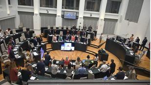 El Pleno del Ayuntamiento, sin PP ni Vox, exige reabrir los SUAP