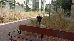 Limpieza en Madrid: de la “dejadez” en el centro al “abandono” en la periferia