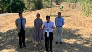 Madrid recupera la masa forestal perdida en el temporal Filomena
