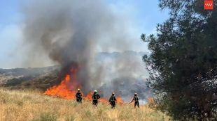 Una de las reservas de mariposas más importante de Europa, afectada por el incendio de Aranjuez