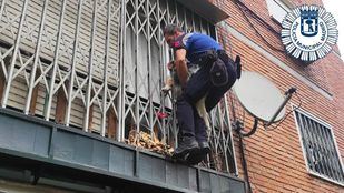 Rescatado un perro que colgaba de la terraza de un segundo piso en Latina