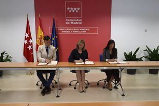 Madrid Nuevo Norte contará con un Laboratorio de Innovación en Soluciones Urbanas
