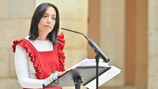 Política Territorial y Delegación se reúnen el lunes con los alcaldes para tramitar las ayudas por Filomena