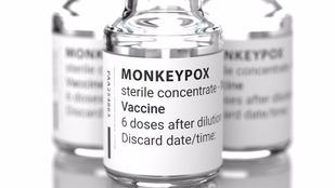 Comienza en Madrid la vacunación preexposición contra la viruela del mono