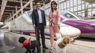 Renfe llevará a cabo una prueba piloto para viajar con perros de hasta 40kg en trenes AVE-Larga Distancia