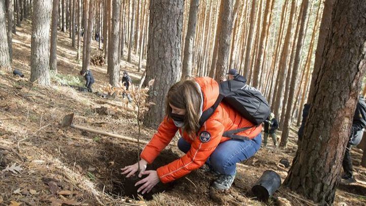 CaixaBank y Fundación Montemadrid apoyan 21 proyectos medioambientales en Madrid y Castilla-La Mancha