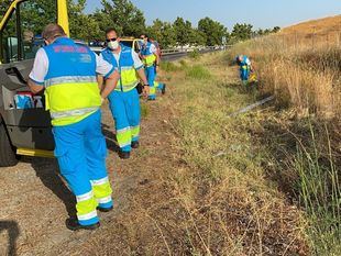 Desestimados los recursos contra la puesta en libertad del autor del atropello mortal en El Álamo