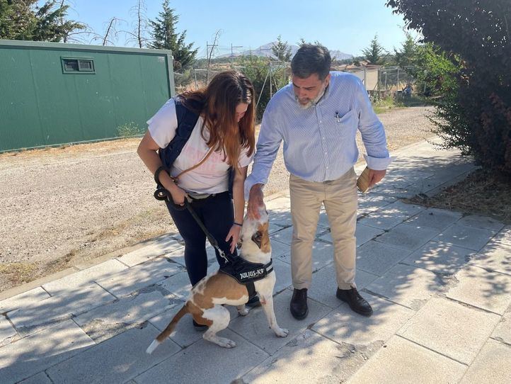 Ángel Oteo, director general de Agricultura, Ganadería y Alimentación
