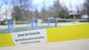 Hidalgo defiende el cierre de parques "por seguridad" tras la caída de 10 árboles y 75 ramas en una alerta roja anterior